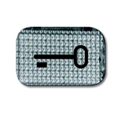 2145 TR Symbol, door
