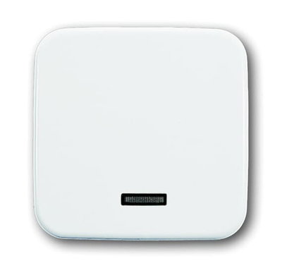 Dimmer Control Cover