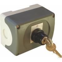 1K2O-I:ENC.2 POS KEY SWITCH