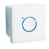 Pushbutton Slave 3 Core White 16A-240V