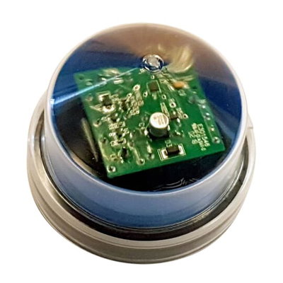 OP2-61121100 OASIS 2K 55LUX BLU STRP CLR