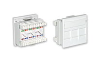 Triple Cat 5e Module