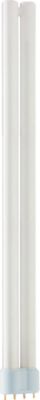 MASTER PL-L POLAR 36W/830/4P 1CT/25