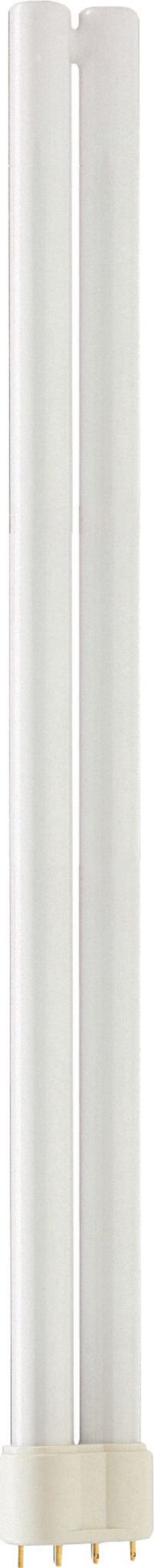MASTER PL-L 36W/865/4P 1CT/25