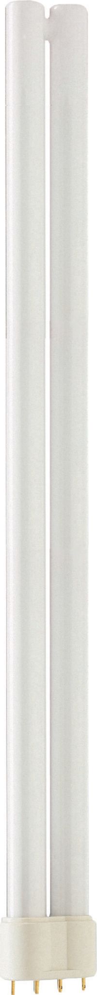 MASTER PL-L XTRA 36W/840/4P 1CT/25