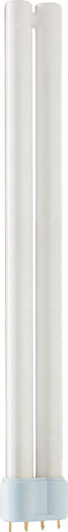 MASTER PL-L XTRA POLAR 24W/830/4P 1CT/25