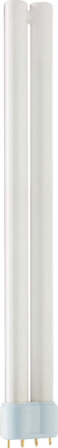 MASTER PL-L XTRA POLAR 24W/830/4P 1CT/25