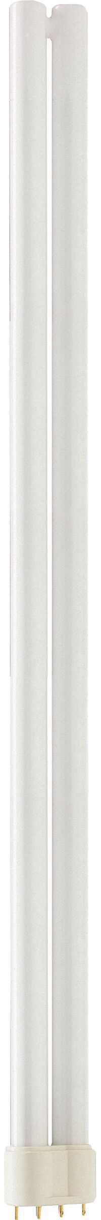 MASTER PL-L 40W/840/4P 1CT/25