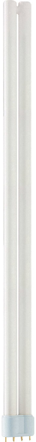 MASTER PL-L XTRA POLAR 55W/830/4P 1CT/25