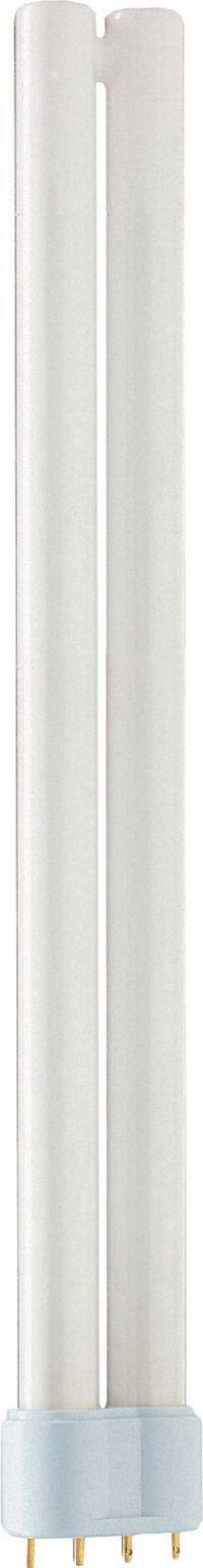 MASTER PL-L POLAR 24W/840/4P 1CT/25
