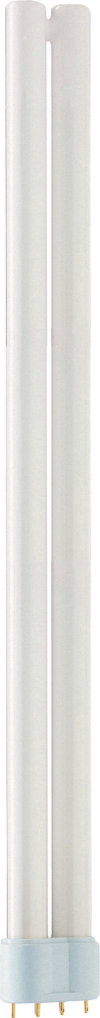 MASTER PL-L POLAR 36W/830/4P 1CT/25