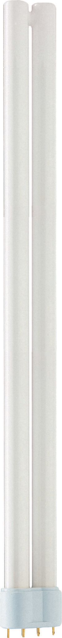 MASTER PL-L POLAR 36W/840/4P 1CT/25