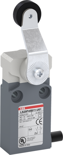 LS20P45B11-U01 Limit Switch