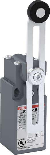 LS33P51B11 Limit Switch