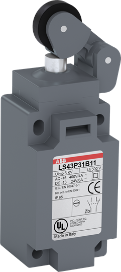 LS45P31B11 Limit Switch