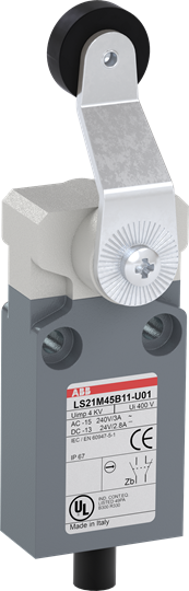 LS21M45B11-U01 Limit Switch