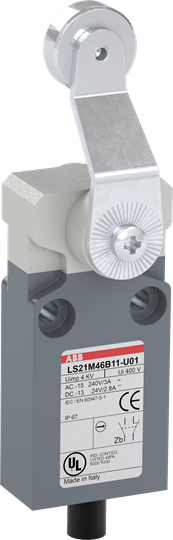 LS21M46B11-U01 Limit Switch