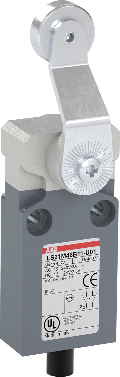 LS21M46B11-U01 Limit Switch