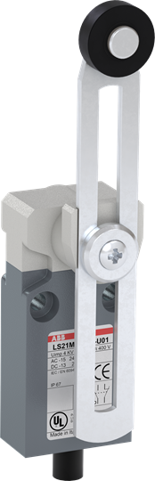 LS21M51B11-U01 Limit Switch