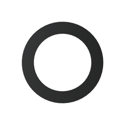 PG21 SEALING WASHER