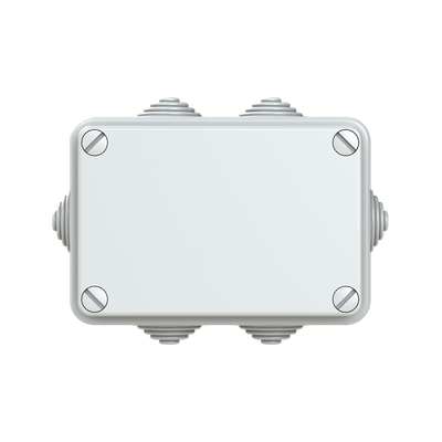 IP44-55-65 GWT 650°C Surface mounting General