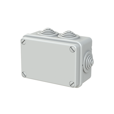 IP44-55-65 GWT 650°C Surface mounting General