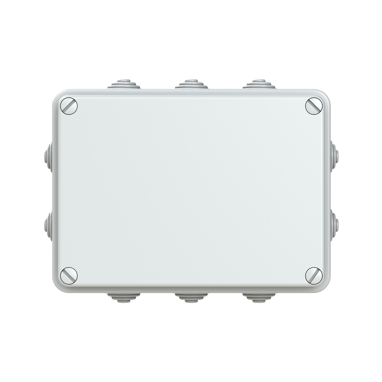 IP44-55-65 GWT 650°C Surface mounting General