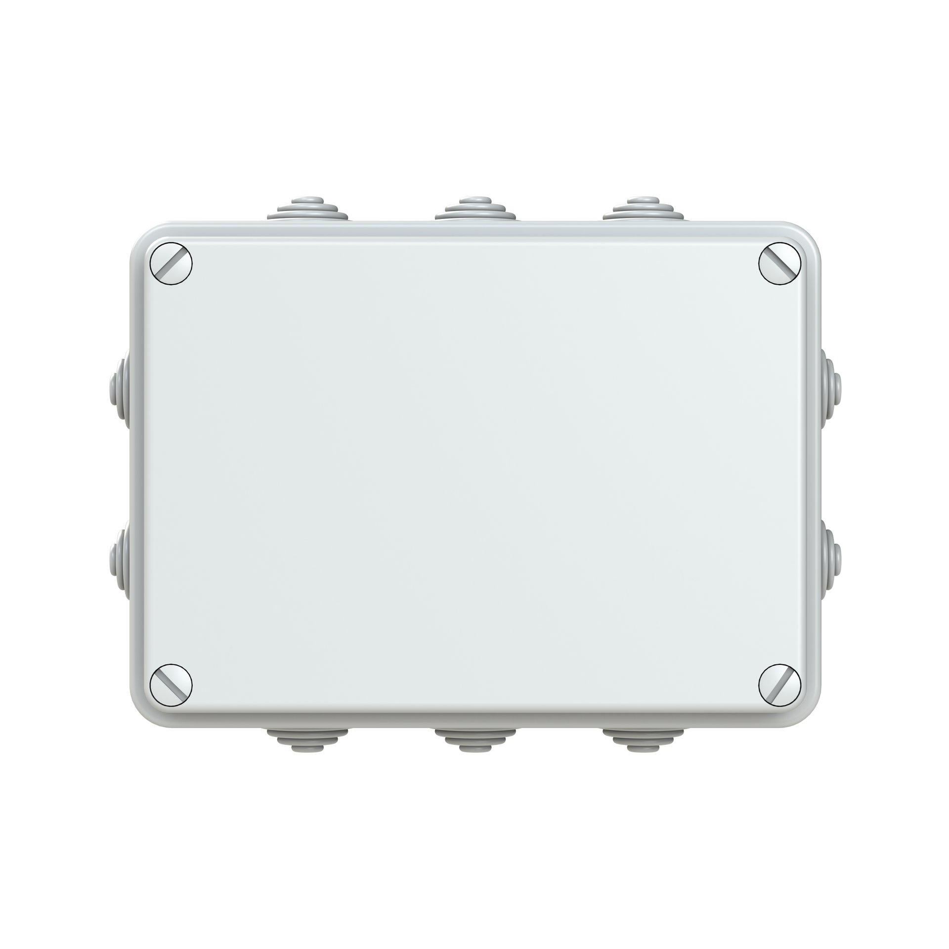 IP44-55-65 GWT 650°C Surface mounting General