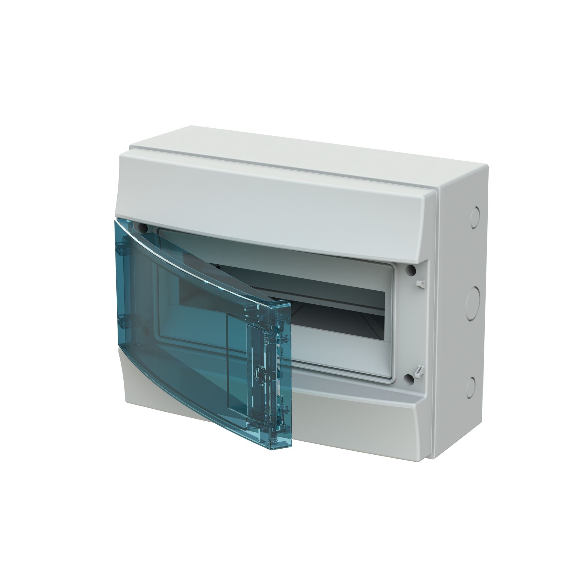 Parete IP65  MISTRAL65, Surface mounting, 12 modules, 1 row(s), IP65,  Door: Single, Plastic, Transparent, Dimensions: 250 mm x 320 mm x 155 mm – Immagine 3 di 3