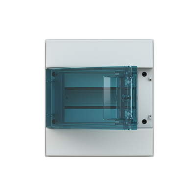 Parete IP65  MISTRAL65, Surface mounting, 8 modules, 1 row(s), IP65,  Door: Single, Plastic, Transparent, Dimensions: 250 mm x 232 mm x 155 mm