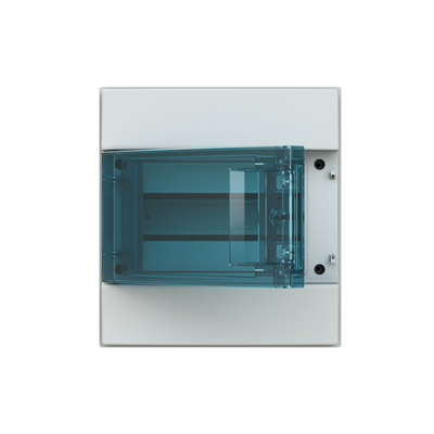 Parete IP65  MISTRAL65, Surface mounting, 8 modules, 1 row(s), IP65,  Door: Single, Plastic, Transparent, Dimensions: 250 mm x 232 mm x 155 mm