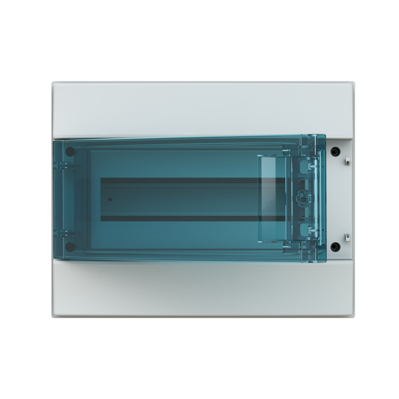 Parete IP65  MISTRAL65, Surface mounting, 12 modules, 1 row(s), IP65,  Door: Single, Plastic, Transparent, Dimensions: 250 mm x 320 mm x 155 mm