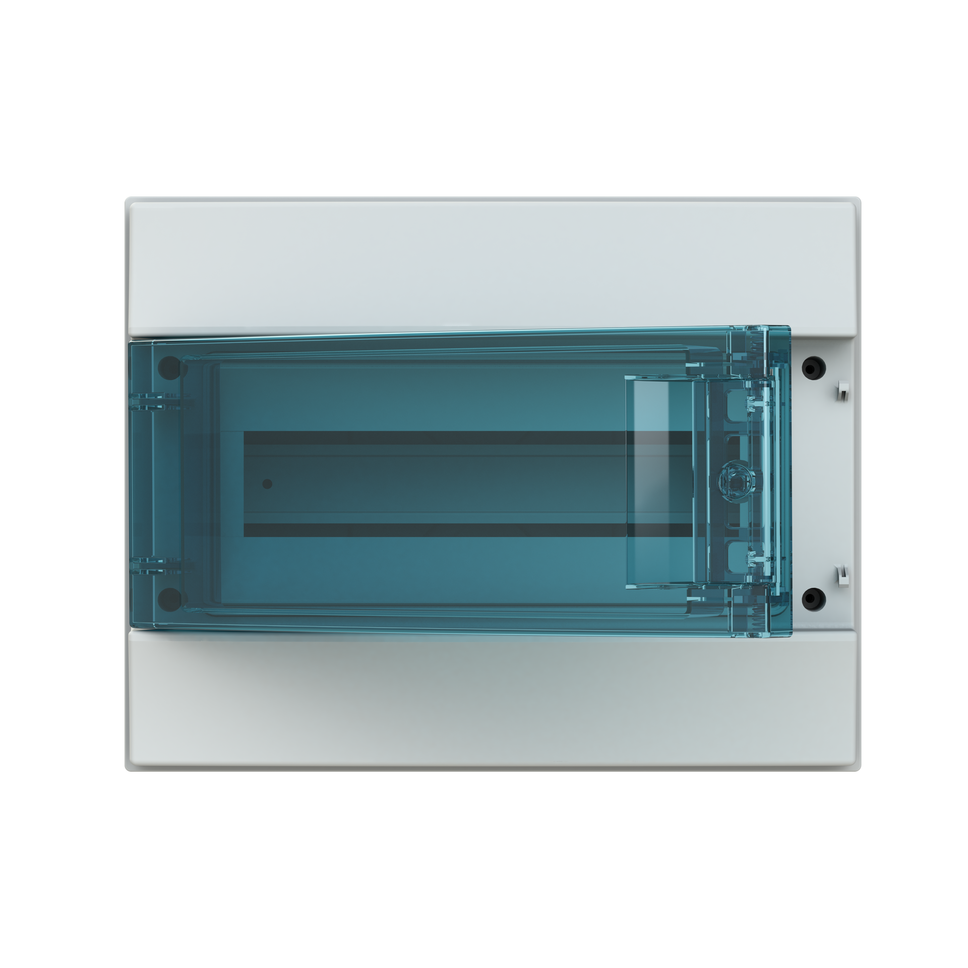 Parete IP65  MISTRAL65, Surface mounting, 12 modules, 1 row(s), IP65,  Door: Single, Plastic, Transparent, Dimensions: 250 mm x 320 mm x 155 mm
