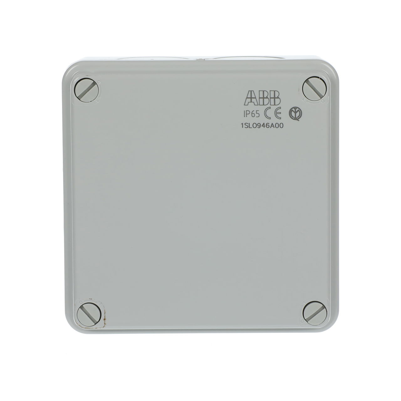 IP44-55-65 GWT 960°C Surface mounting General