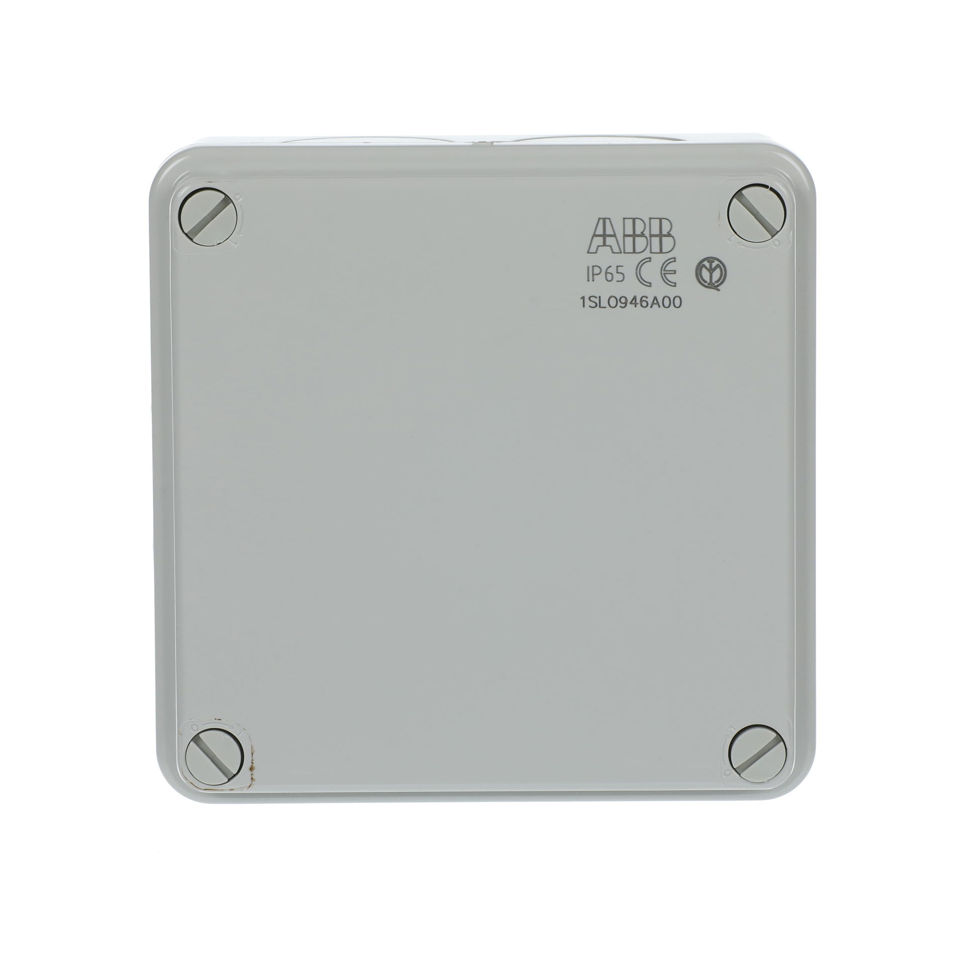 IP44-55-65 GWT 960°C Surface mounting General
