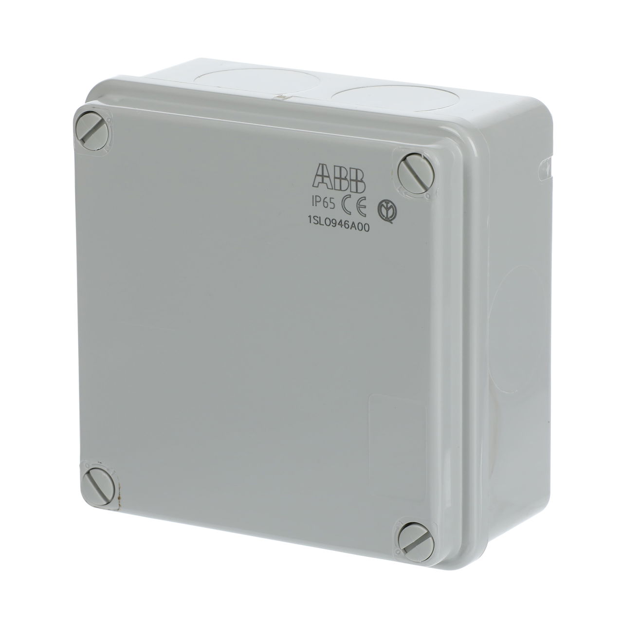IP44-55-65 GWT 960°C Surface mounting General – Immagine 3 di 3