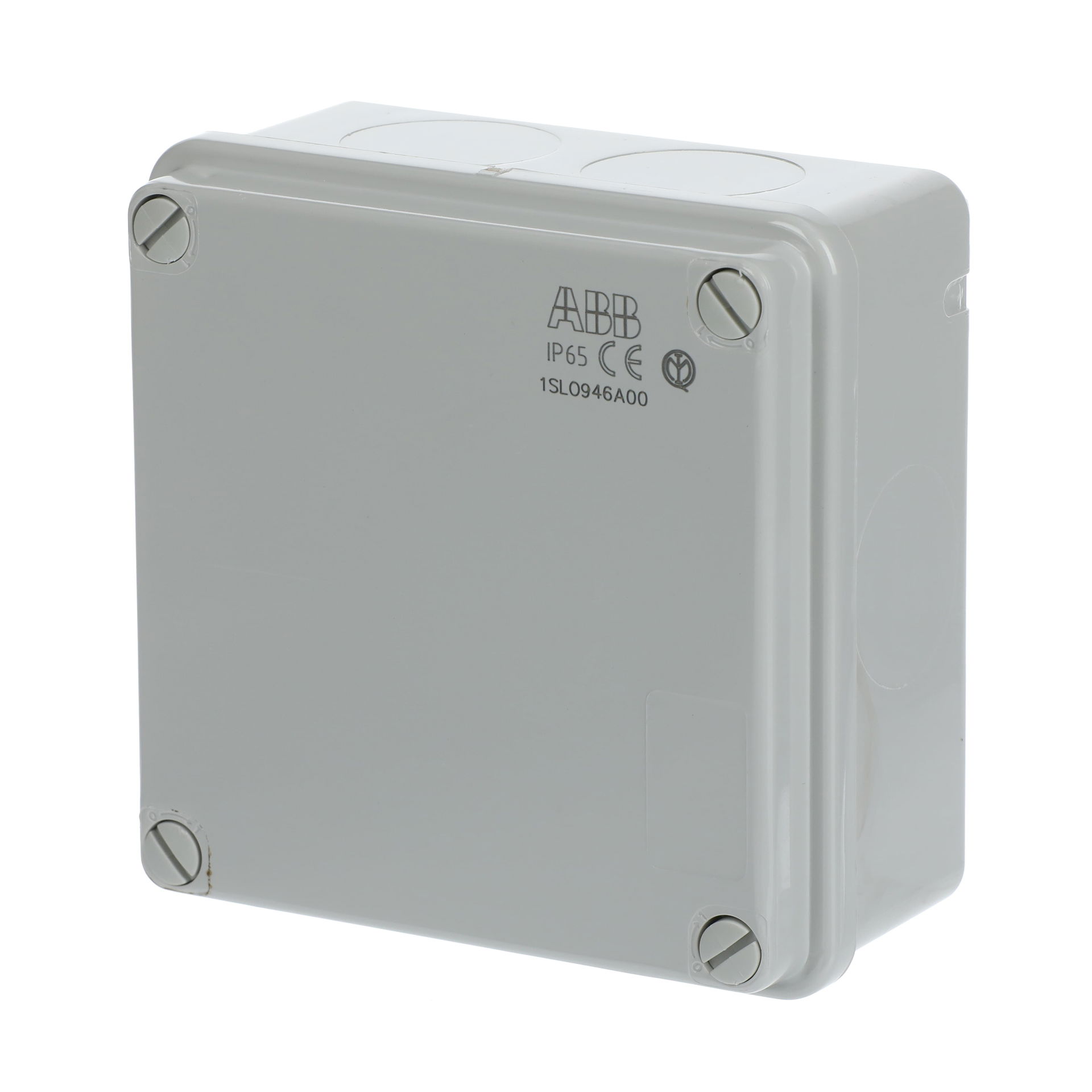IP44-55-65 GWT 960°C Surface mounting General – Immagine 3 di 3