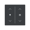 Cover plate Symbol "arrows/venetian blind" and "dimmer" anthracite - Platform 63