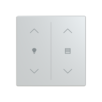 Cover plate Symbol "arrows/venetian blind" and "dimmer" aluminium silver - Platform 63