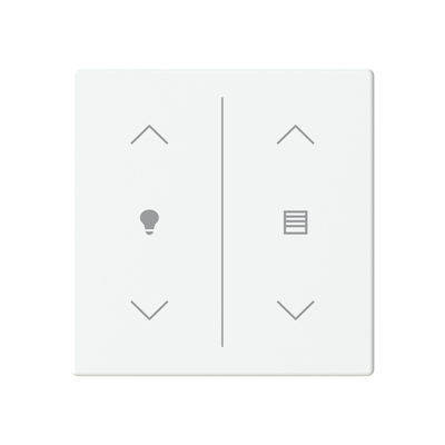 Cover plate Symbol "arrows/venetian blind" and "dimmer" studio white matt - Platform 63