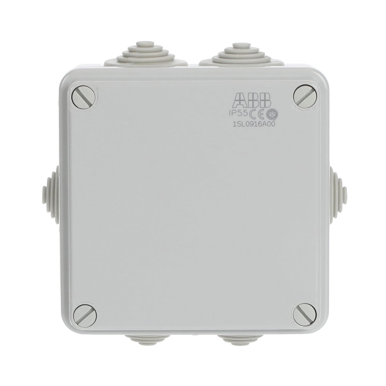 IP44-55-65 GWT 960°C Surface mounting General