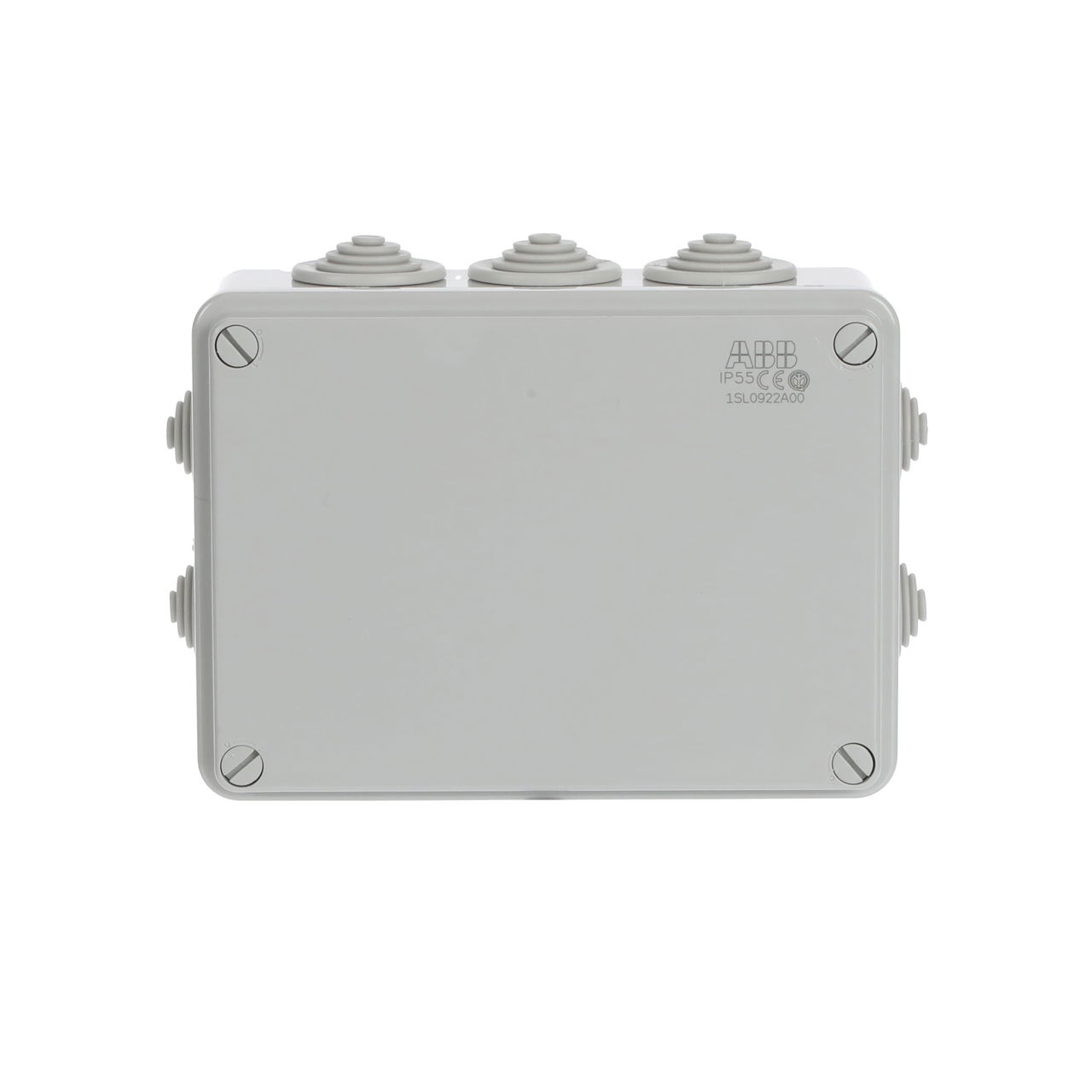 IP44-55-65 GWT 960°C Surface mounting General