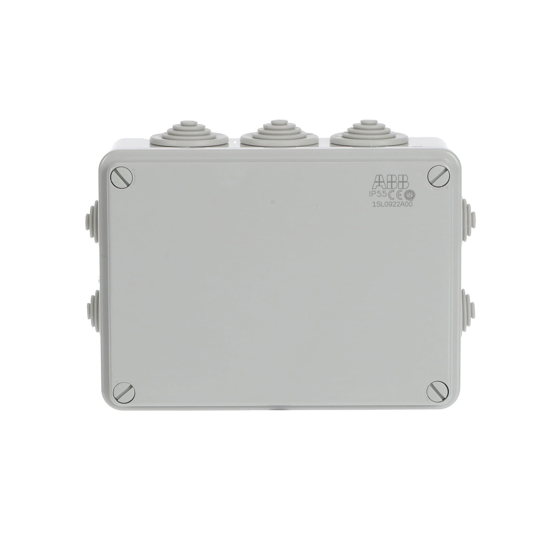 IP44-55-65 GWT 960°C Surface mounting General