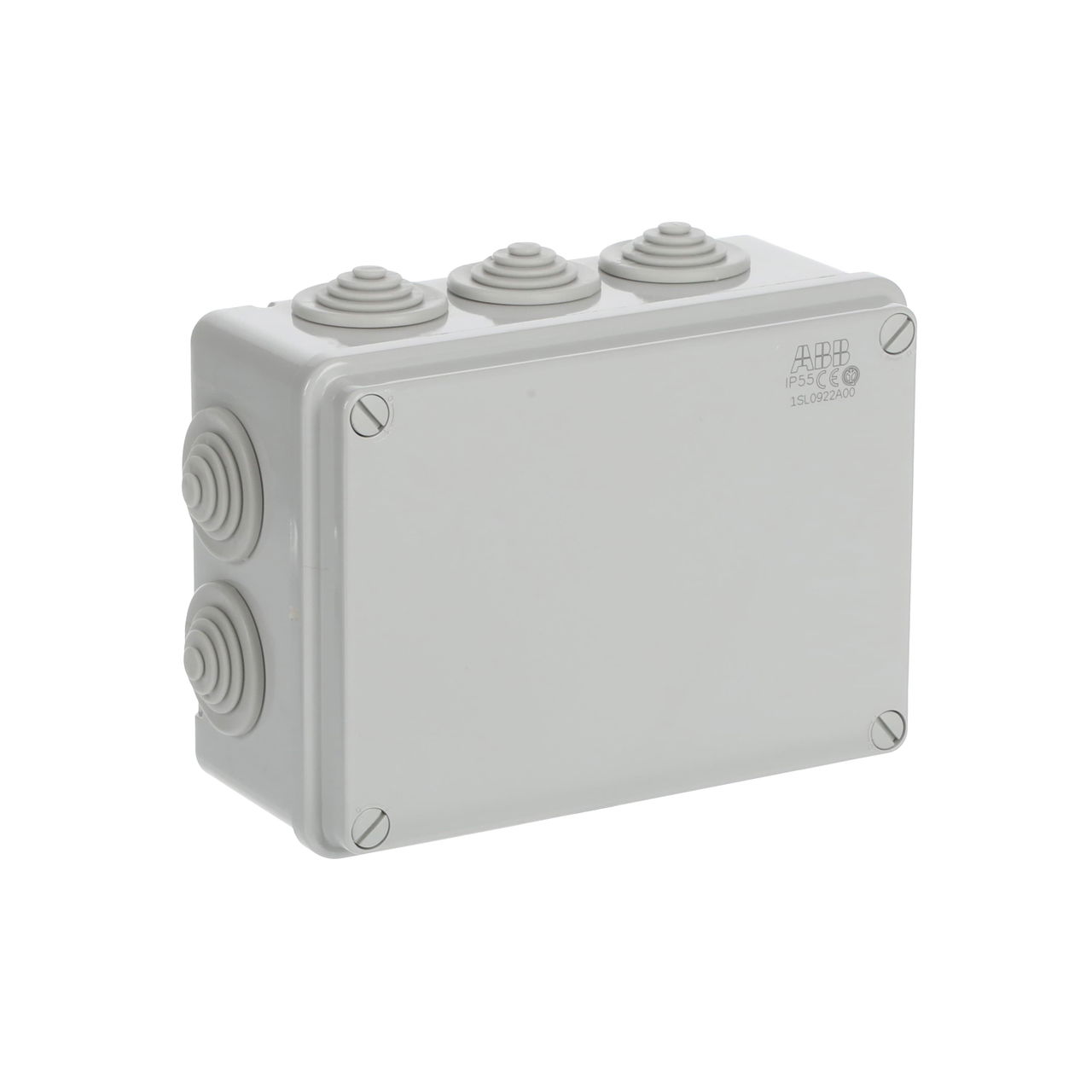 IP44-55-65 GWT 960°C Surface mounting General – Immagine 2 di 3