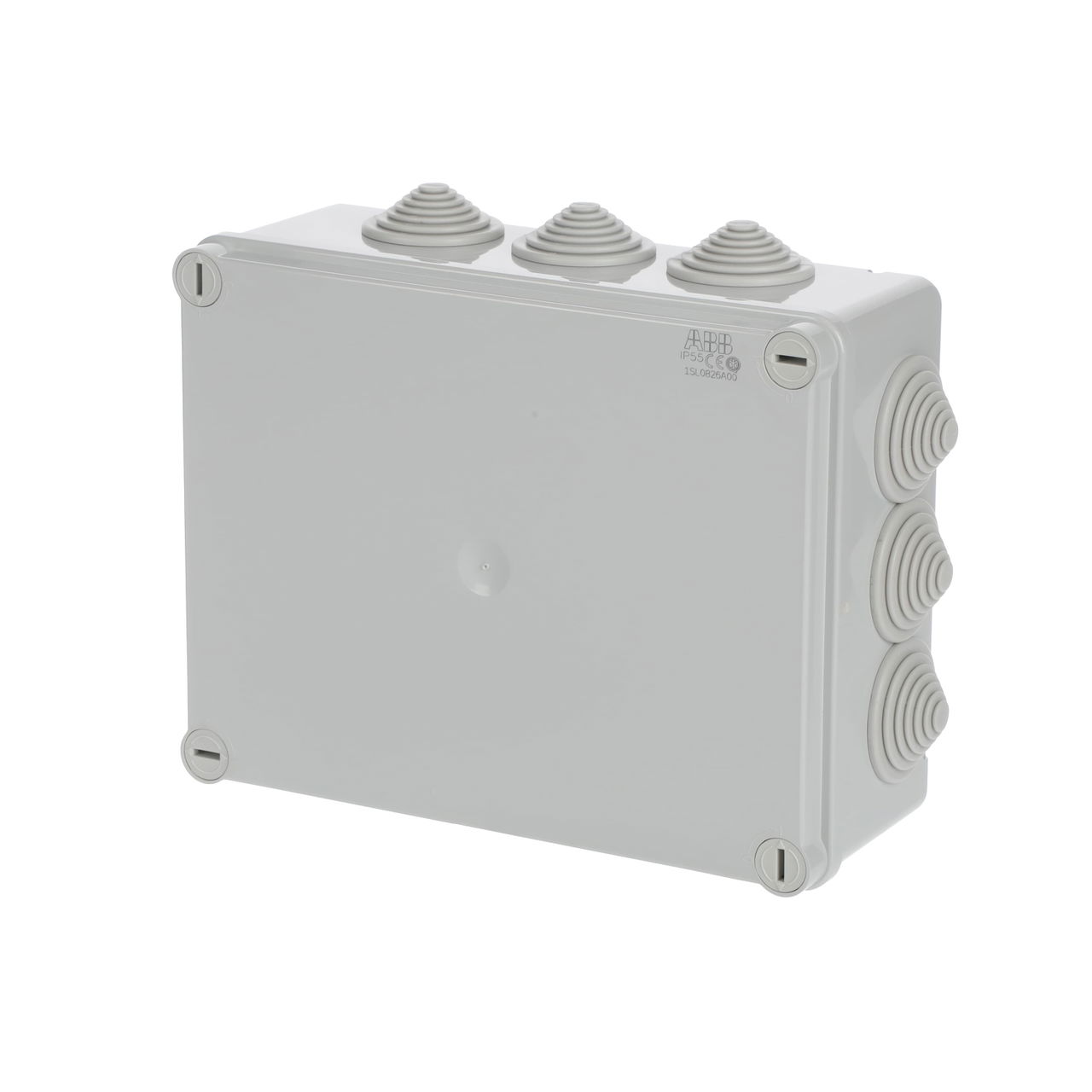 IP44-55-65 GWT 650°C Surface mounting General