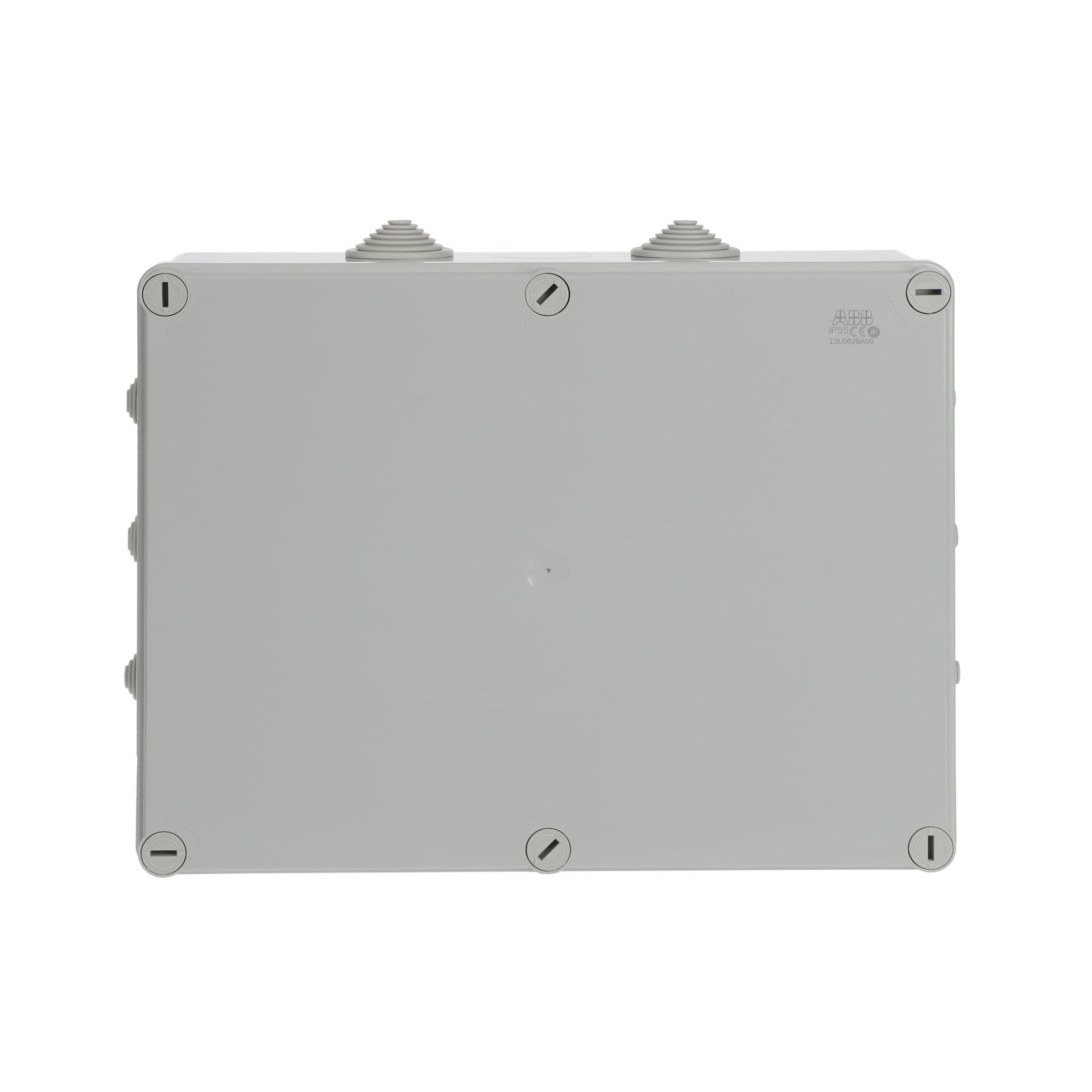 IP44-55-65 GWT 650°C Surface mounting General