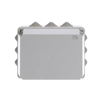 IP44-55-65 GWT 650°C Surface mounting General