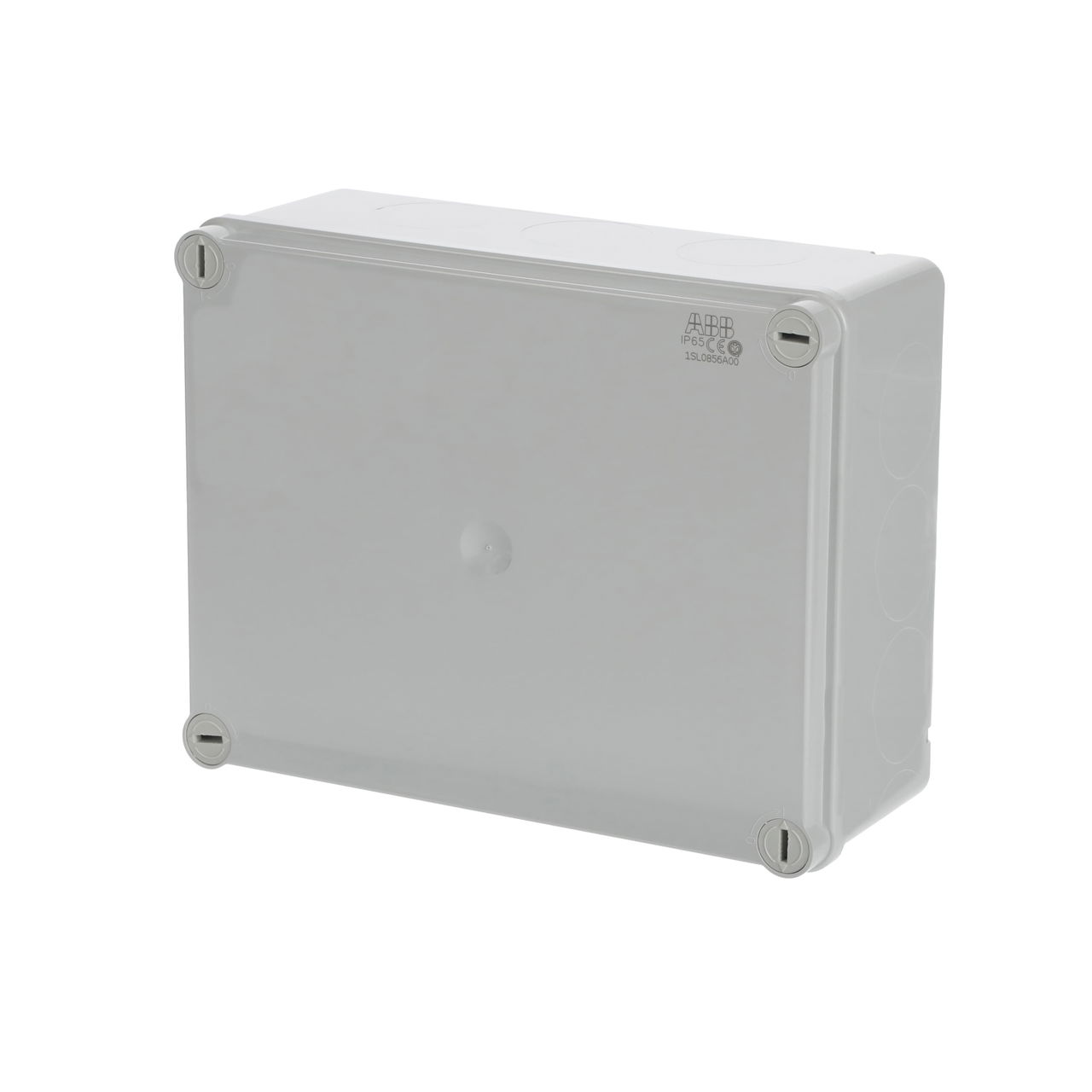 IP44-55-65 GWT 650°C Surface mounting General