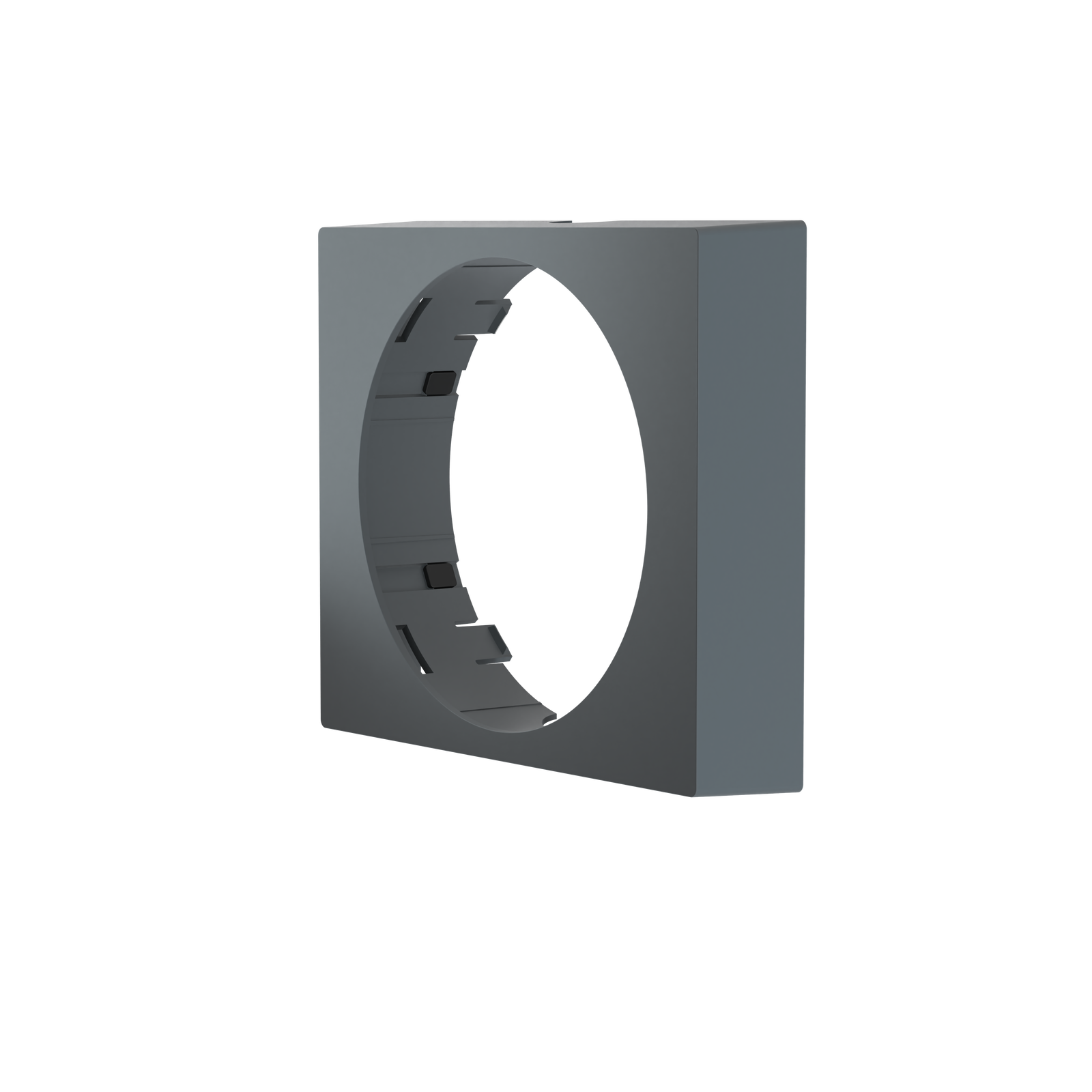 Busch-Watchdog PRO Design Frame anthracite – Immagine 5 di 5