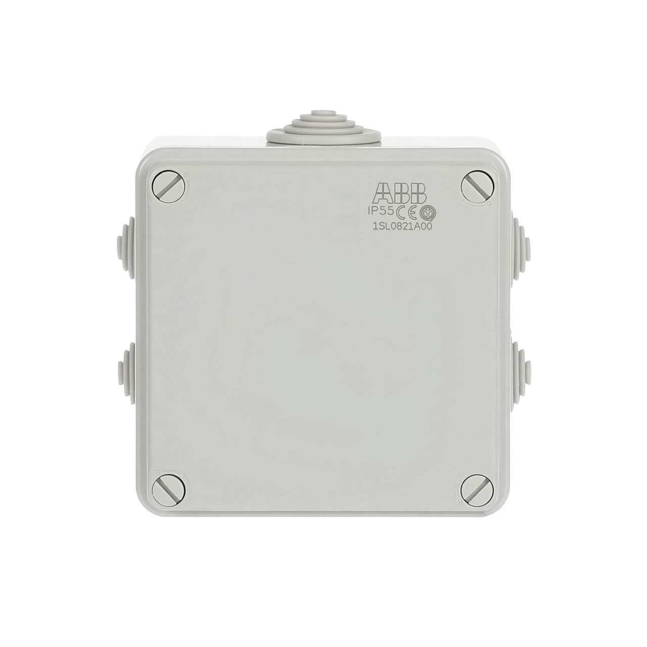 IP44-55-65 GWT 650°C Surface mounting General